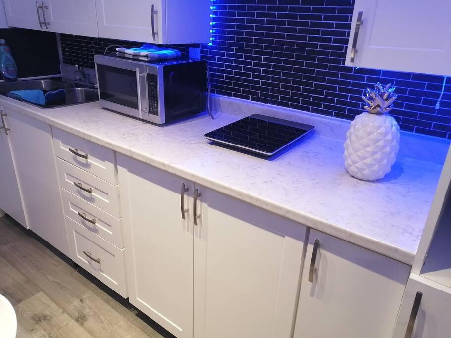 Апартаменты Cozy Nest Basement Unit Гамильтон Экстерьер фото